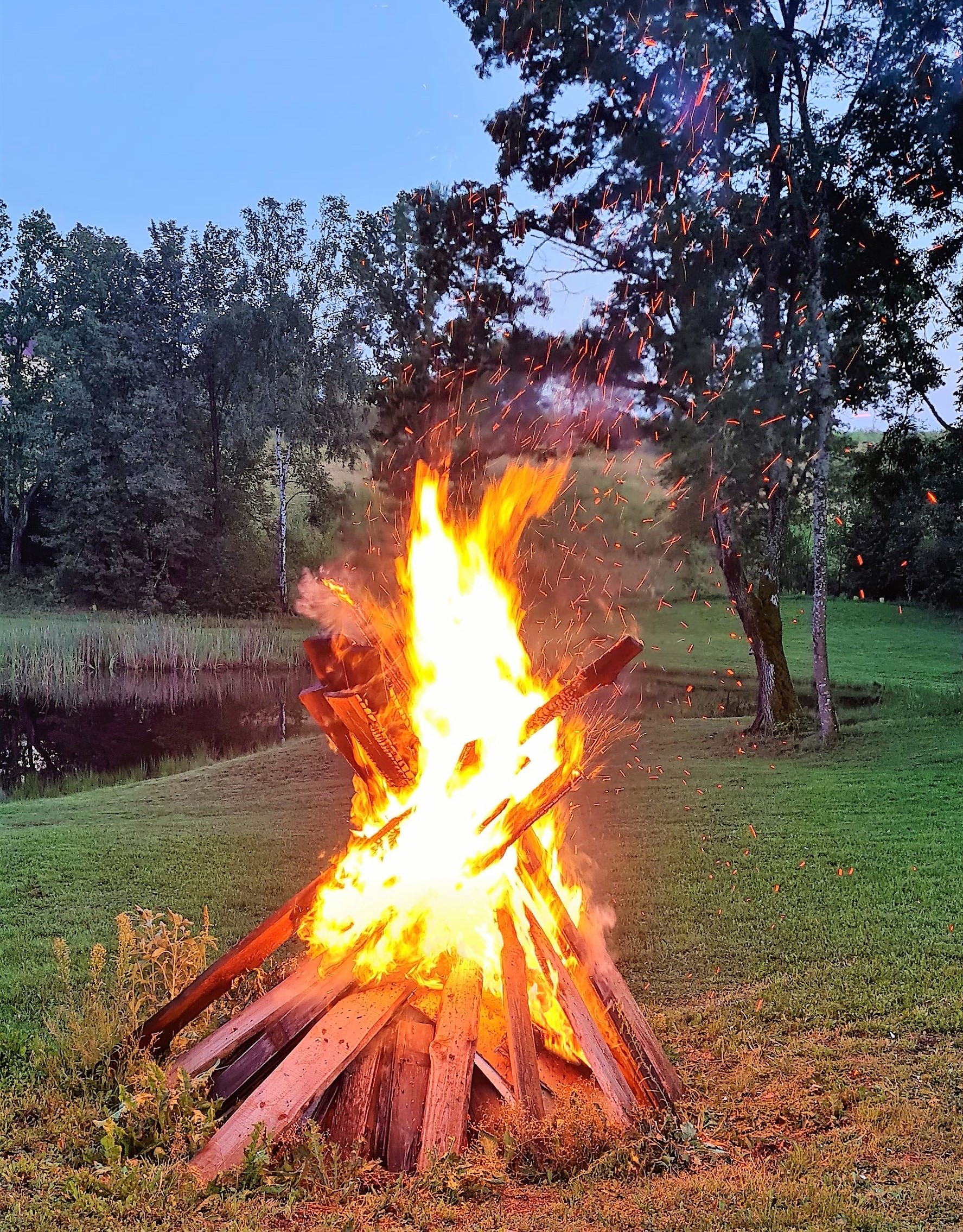 Laužas